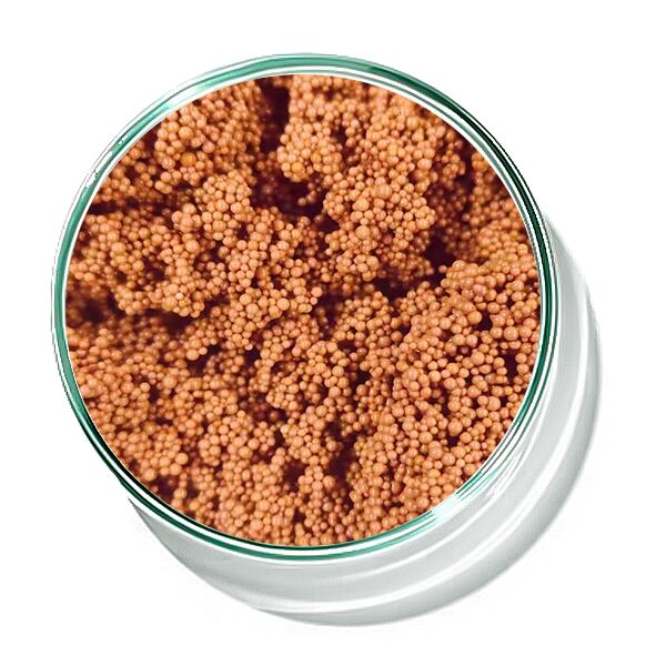 Tratamento de água de cauda bioquímica Resina descolorente de cor marrom-avermelhada para adsorção